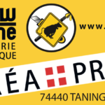 Yellow sur marine